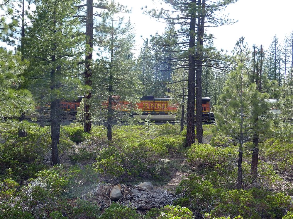 Volcan Lassen (35).JPG